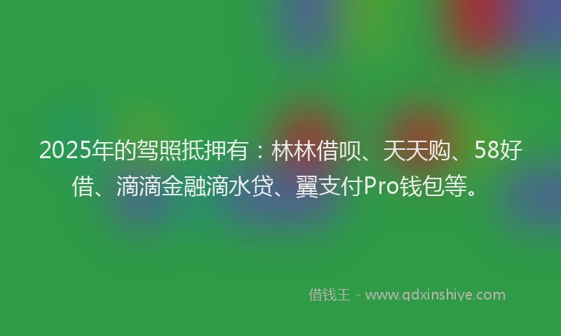 2025年的驾照抵押有：林林借呗、天天购、58好借、滴滴金融滴水贷、翼支付Pro钱包等。