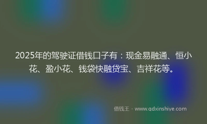 2025年的驾驶证借钱口子有：现金易融通、恒小花、盈小花、钱袋快融贷宝、吉祥花等。