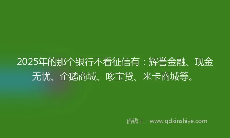 2025年的那个银行不看征信有：辉誉金融、现金无忧、企鹅商城、哆宝贷、米卡商城等。