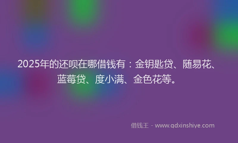 2025年的还呗在哪借钱有：金钥匙贷、随易花、蓝莓贷、度小满、金色花等。