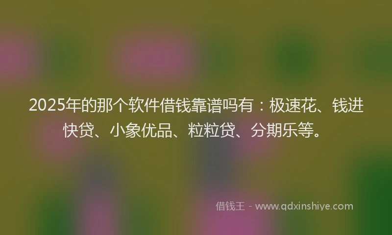 2025年的那个软件借钱靠谱吗有：极速花、钱进快贷、小象优品、粒粒贷、分期乐等。