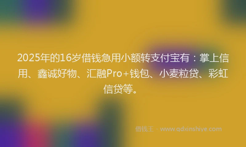2025年的16岁借钱急用小额转支付宝有：掌上信用、鑫诚好物、汇融Pro+钱包、小麦粒贷、彩虹信贷等。