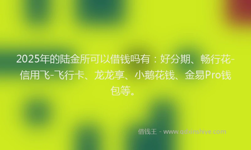 2025年的陆金所可以借钱吗有：好分期、畅行花-信用飞-飞行卡、龙龙享、小鹅花钱、金易Pro钱包等。