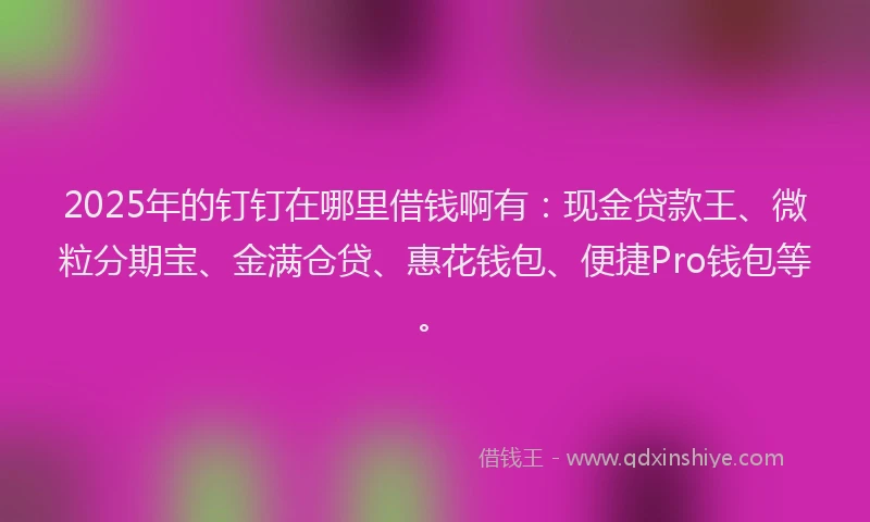 2025年的钉钉在哪里借钱啊有：现金贷款王、微粒分期宝、金满仓贷、惠花钱包、便捷Pro钱包等。