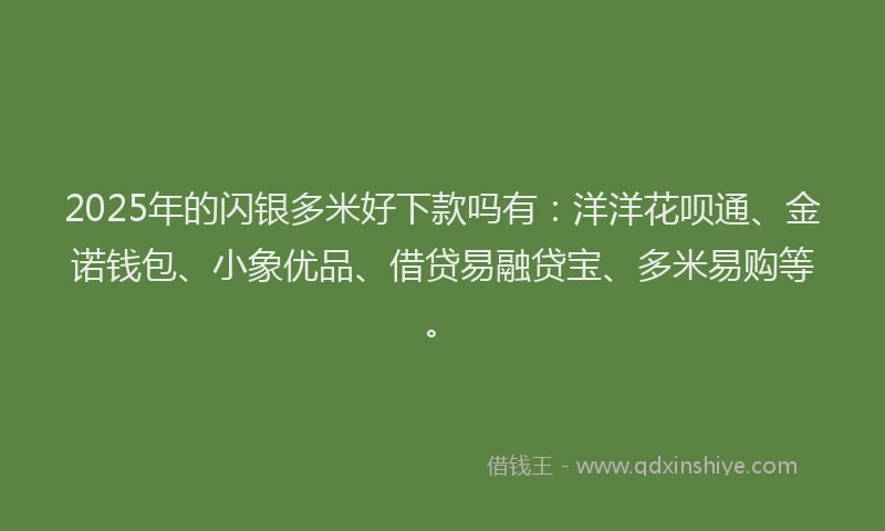 2025年的闪银多米好下款吗有：洋洋花呗通、金诺钱包、小象优品、借贷易融贷宝、多米易购等。