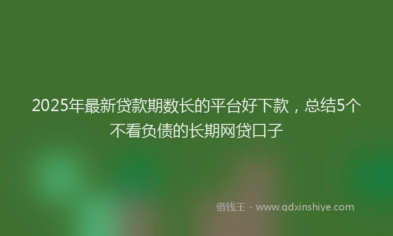 2025年最新贷款期数长的平台好下款，总结5个不看负债的长期网贷口子