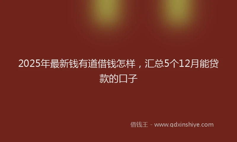 2025年最新钱有道借钱怎样，汇总5个12月能贷款的口子