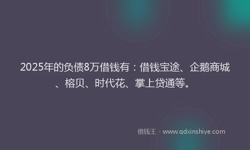 2025年的负债8万借钱有：借钱宝途、企鹅商城、榕贝、时代花、掌上贷通等。