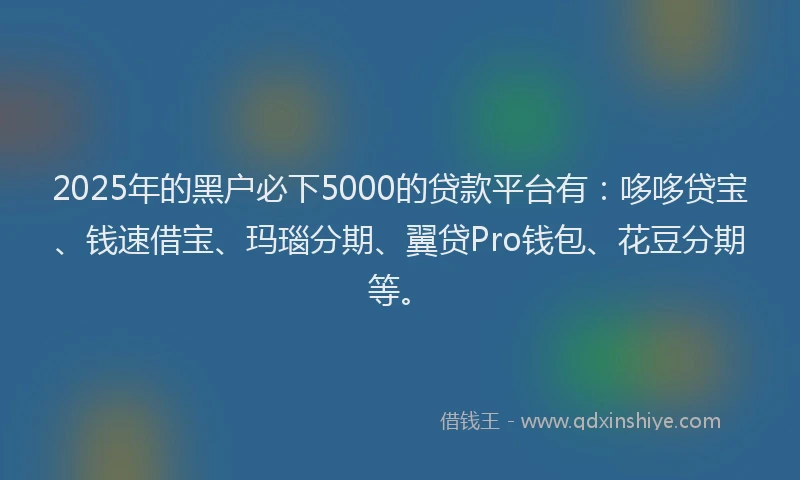 2025年的黑户必下5000的贷款平台有：哆哆贷宝、钱速借宝、玛瑙分期、翼贷Pro钱包、花豆分期等。