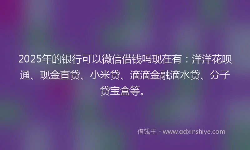 2025年的银行可以微信借钱吗现在有：洋洋花呗通、现金直贷、小米贷、滴滴金融滴水贷、分子贷宝盒等。