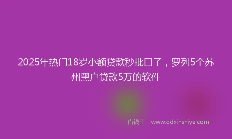 2025年热门18岁小额贷款秒批口子，罗列5个苏州黑户贷款5万的软件
