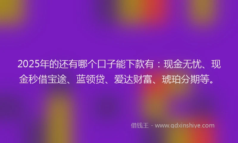 2025年的还有哪个口子能下款有：现金无忧、现金秒借宝途、蓝领贷、爱达财富、琥珀分期等。