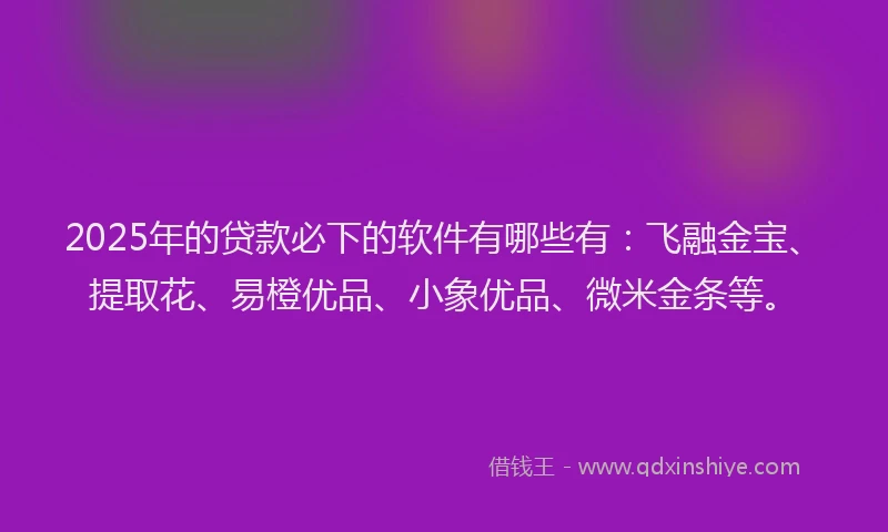 2025年的贷款必下的软件有哪些有：飞融金宝、提取花、易橙优品、小象优品、微米金条等。