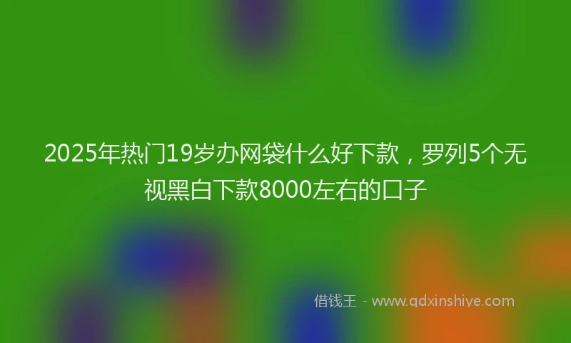 2025年热门19岁办网袋什么好下款，罗列5个无视黑白下款8000左右的口子