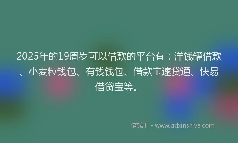 2025年的19周岁可以借款的平台有：洋钱罐借款、小麦粒钱包、有钱钱包、借款宝速贷通、快易借贷宝等。