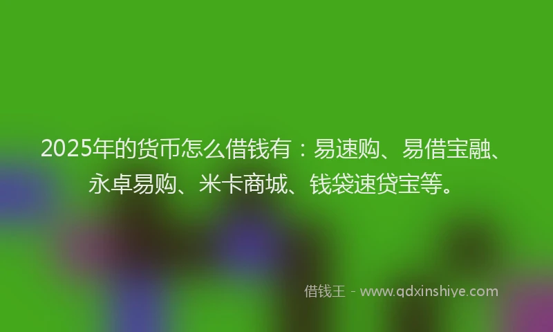 2025年的货币怎么借钱有：易速购、易借宝融、永卓易购、米卡商城、钱袋速贷宝等。