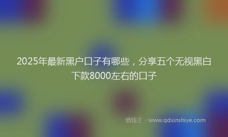 2025年最新黑户口子有哪些，分享五个无视黑白下款8000左右的口子