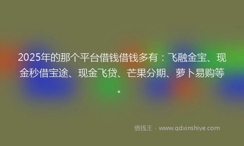 2025年的那个平台借钱借钱多有：飞融金宝、现金秒借宝途、现金飞贷、芒果分期、萝卜易购等。
