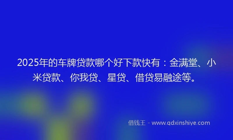 2025年的车牌贷款哪个好下款快有：金满堂、小米贷款、你我贷、星贷、借贷易融途等。