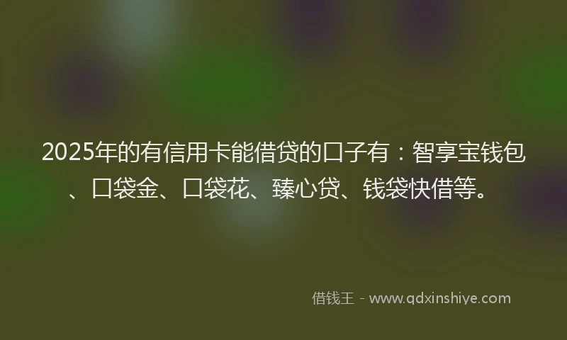 2025年的有信用卡能借贷的口子有：智享宝钱包、口袋金、口袋花、臻心贷、钱袋快借等。
