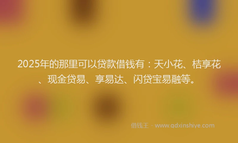 2025年的那里可以贷款借钱有：天小花、桔享花、现金贷易、享易达、闪贷宝易融等。