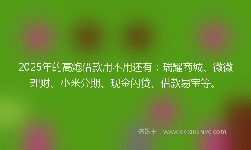 2025年的高炮借款用不用还有：瑞耀商城、微微理财、小米分期、现金闪贷、借款易宝等。