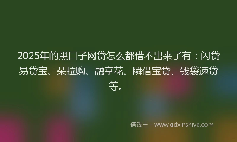 2025年的黑口子网贷怎么都借不出来了有：闪贷易贷宝、朵拉购、融享花、瞬借宝贷、钱袋速贷等。