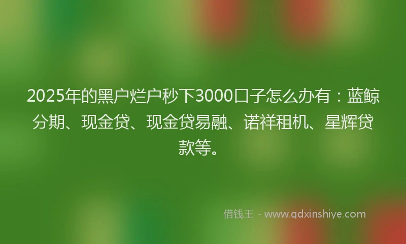 2025年的黑户烂户秒下3000口子怎么办有：蓝鲸分期、现金贷、现金贷易融、诺祥租机、星辉贷款等。