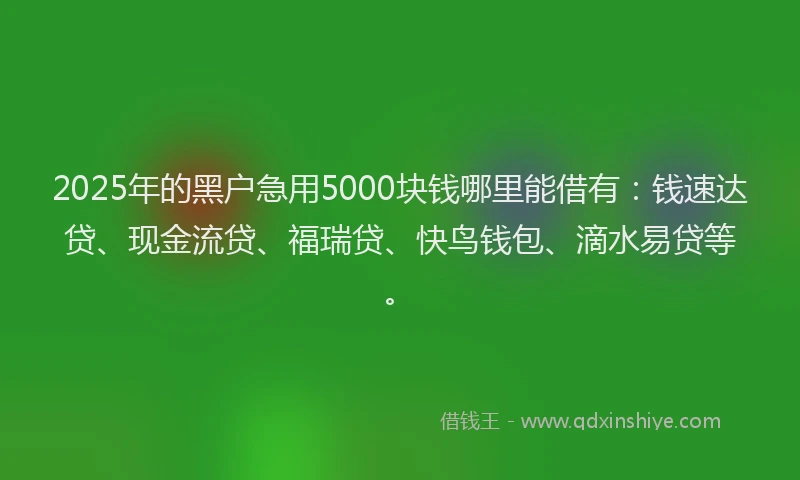 2025年的黑户急用5000块钱哪里能借有：钱速达贷、现金流贷、福瑞贷、快鸟钱包、滴水易贷等。