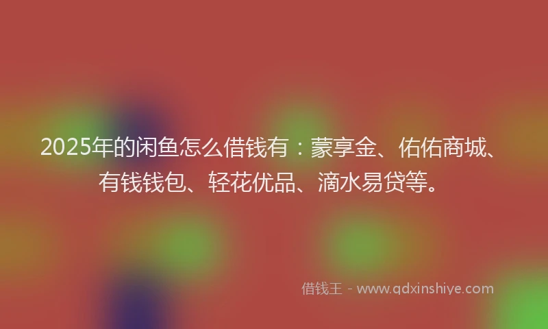 2025年的闲鱼怎么借钱有：蒙享金、佑佑商城、有钱钱包、轻花优品、滴水易贷等。