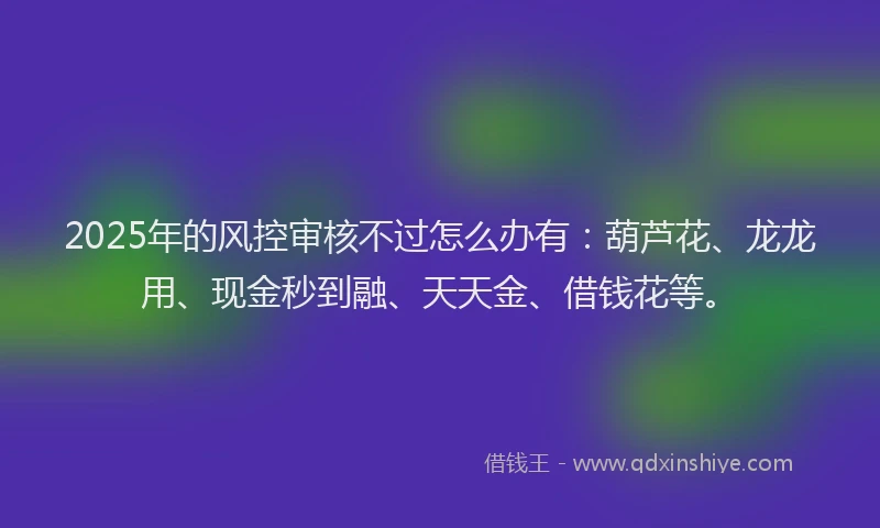 2025年的风控审核不过怎么办有：葫芦花、龙龙用、现金秒到融、天天金、借钱花等。