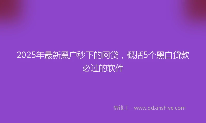 2025年最新黑户秒下的网贷，概括5个黑白贷款必过的软件