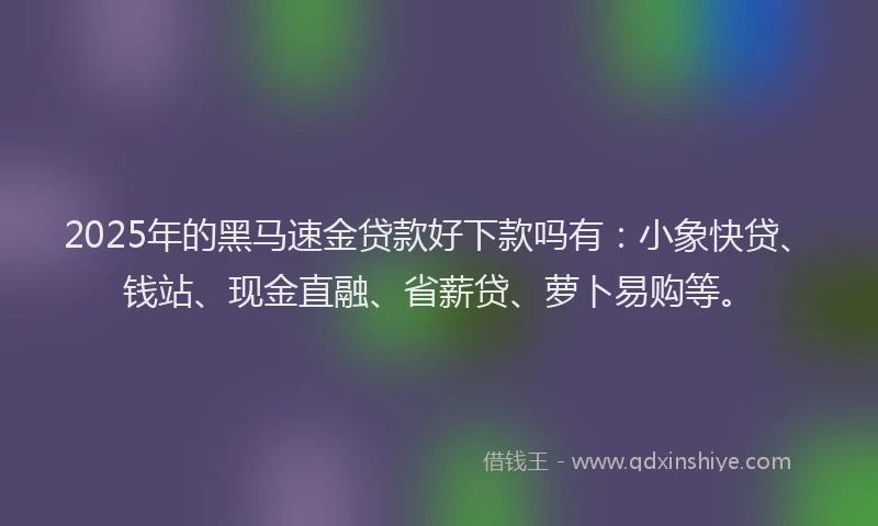 2025年的黑马速金贷款好下款吗有：小象快贷、钱站、现金直融、省薪贷、萝卜易购等。