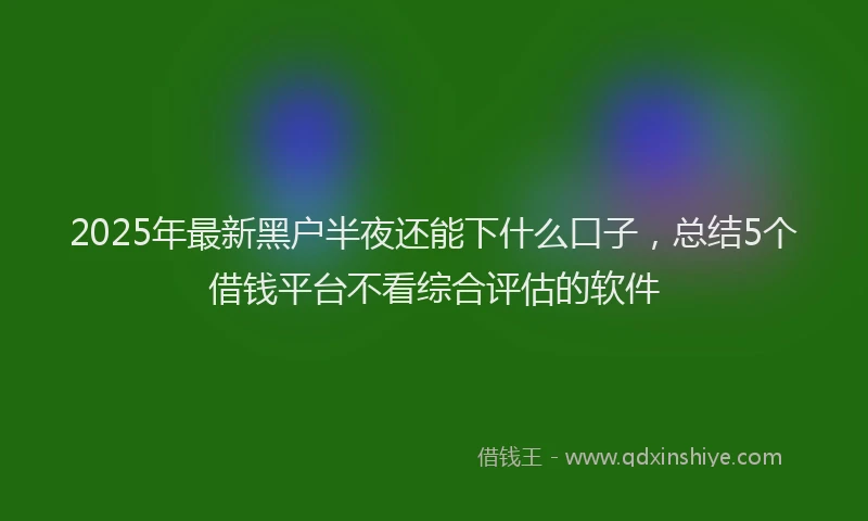 2025年最新黑户半夜还能下什么口子，总结5个借钱平台不看综合评估的软件