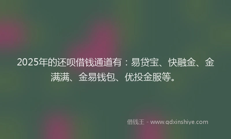 2025年的还呗借钱通道有：易贷宝、快融金、金满满、金易钱包、优投金服等。