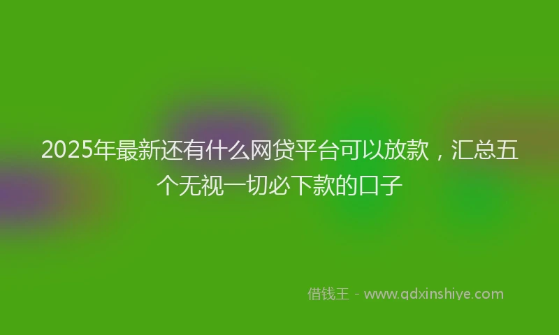 2025年最新还有什么网贷平台可以放款，汇总五个无视一切必下款的口子
