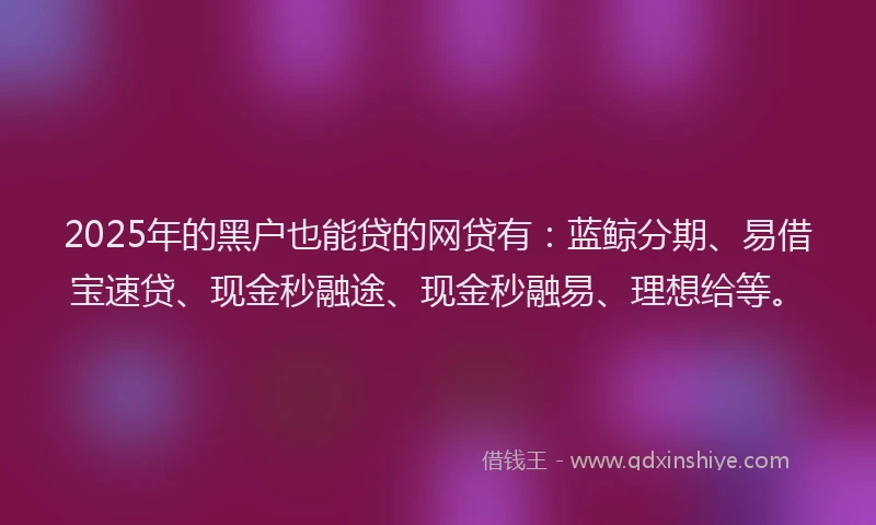 2025年的黑户也能贷的网贷有：蓝鲸分期、易借宝速贷、现金秒融途、现金秒融易、理想给等。