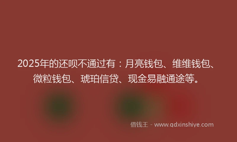 2025年的还呗不通过有：月亮钱包、维维钱包、微粒钱包、琥珀信贷、现金易融通途等。