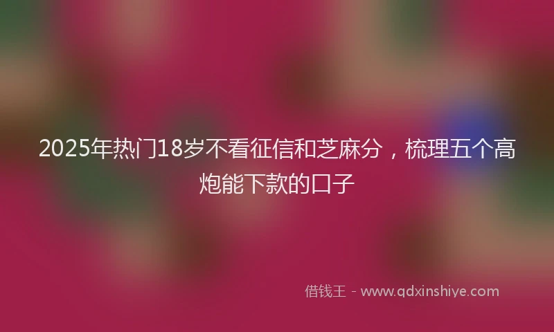 2025年热门18岁不看征信和芝麻分，梳理五个高炮能下款的口子