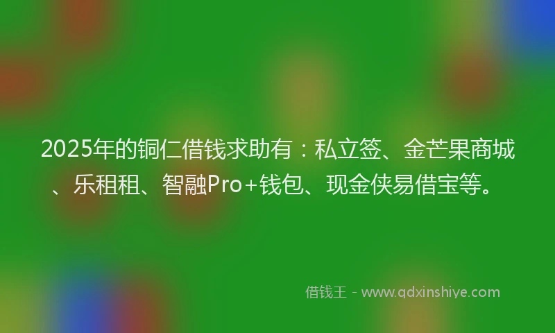 2025年的铜仁借钱求助有：私立签、金芒果商城、乐租租、智融Pro+钱包、现金侠易借宝等。