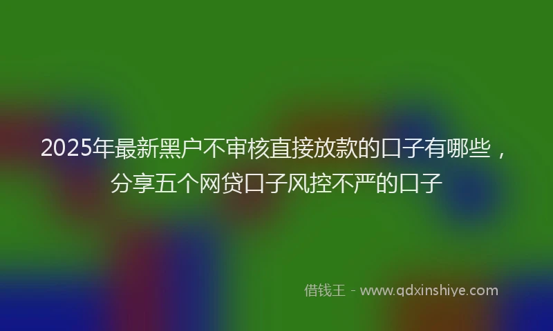 2025年最新黑户不审核直接放款的口子有哪些，分享五个网贷口子风控不严的口子