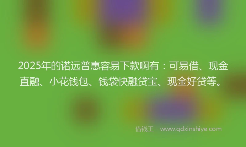 2025年的诺远普惠容易下款啊有：可易借、现金直融、小花钱包、钱袋快融贷宝、现金好贷等。