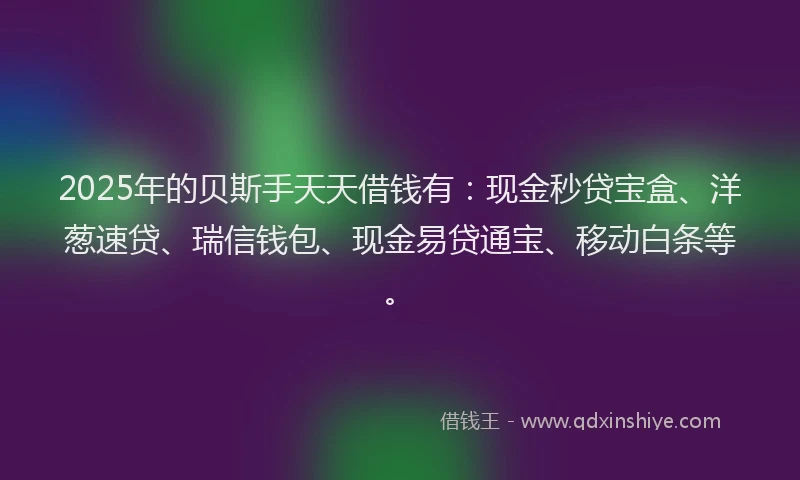 2025年的贝斯手天天借钱有：现金秒贷宝盒、洋葱速贷、瑞信钱包、现金易贷通宝、移动白条等。