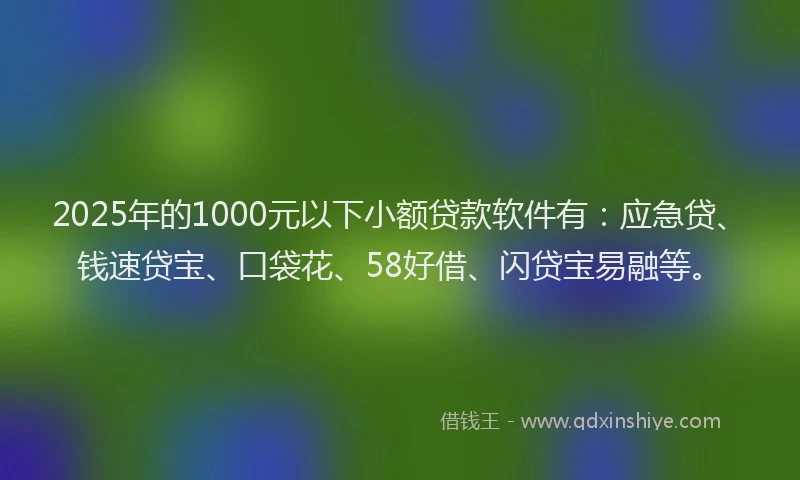 2025年的1000元以下小额贷款软件有：应急贷、钱速贷宝、口袋花、58好借、闪贷宝易融等。