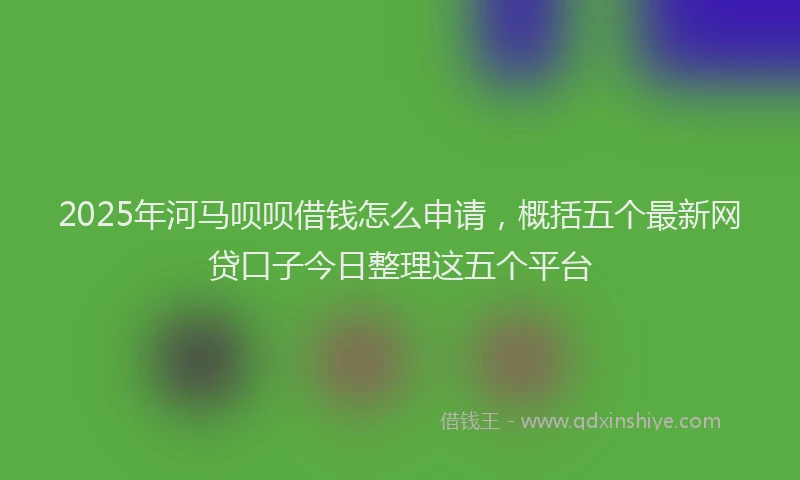 2025年河马呗呗借钱怎么申请，概括五个最新网贷口子今日整理这五个平台