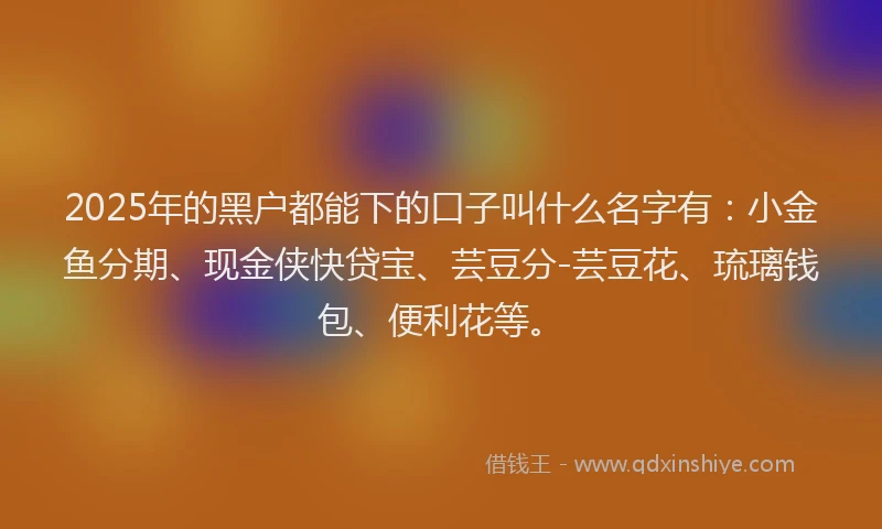 2025年的黑户都能下的口子叫什么名字有：小金鱼分期、现金侠快贷宝、芸豆分-芸豆花、琉璃钱包、便利花等。