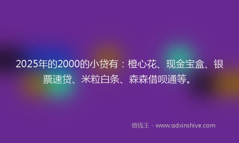 2025年的2000的小贷有：橙心花、现金宝盒、银票速贷、米粒白条、森森借呗通等。