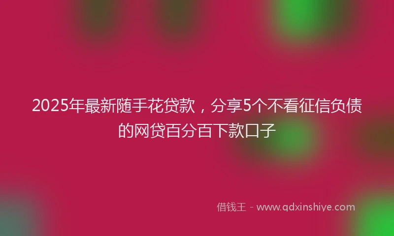 2025年最新随手花贷款，分享5个不看征信负债的网贷百分百下款口子