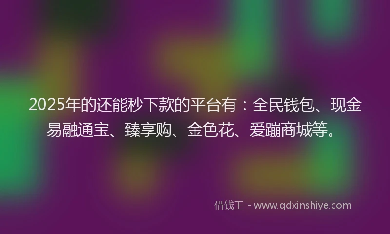 2025年的还能秒下款的平台有：全民钱包、现金易融通宝、臻享购、金色花、爱蹦商城等。
