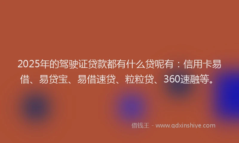 2025年的驾驶证贷款都有什么贷呢有：信用卡易借、易贷宝、易借速贷、粒粒贷、360速融等。